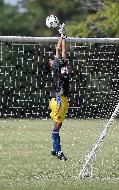 如何在困境 如何在困境