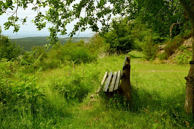 讨论的热点 讨论的热点