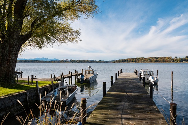 尽管比分悬 尽管比分悬