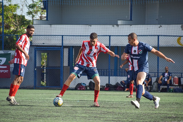 德媒的视角 德媒的视角