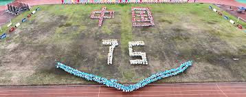 成功案例分 成功案例分